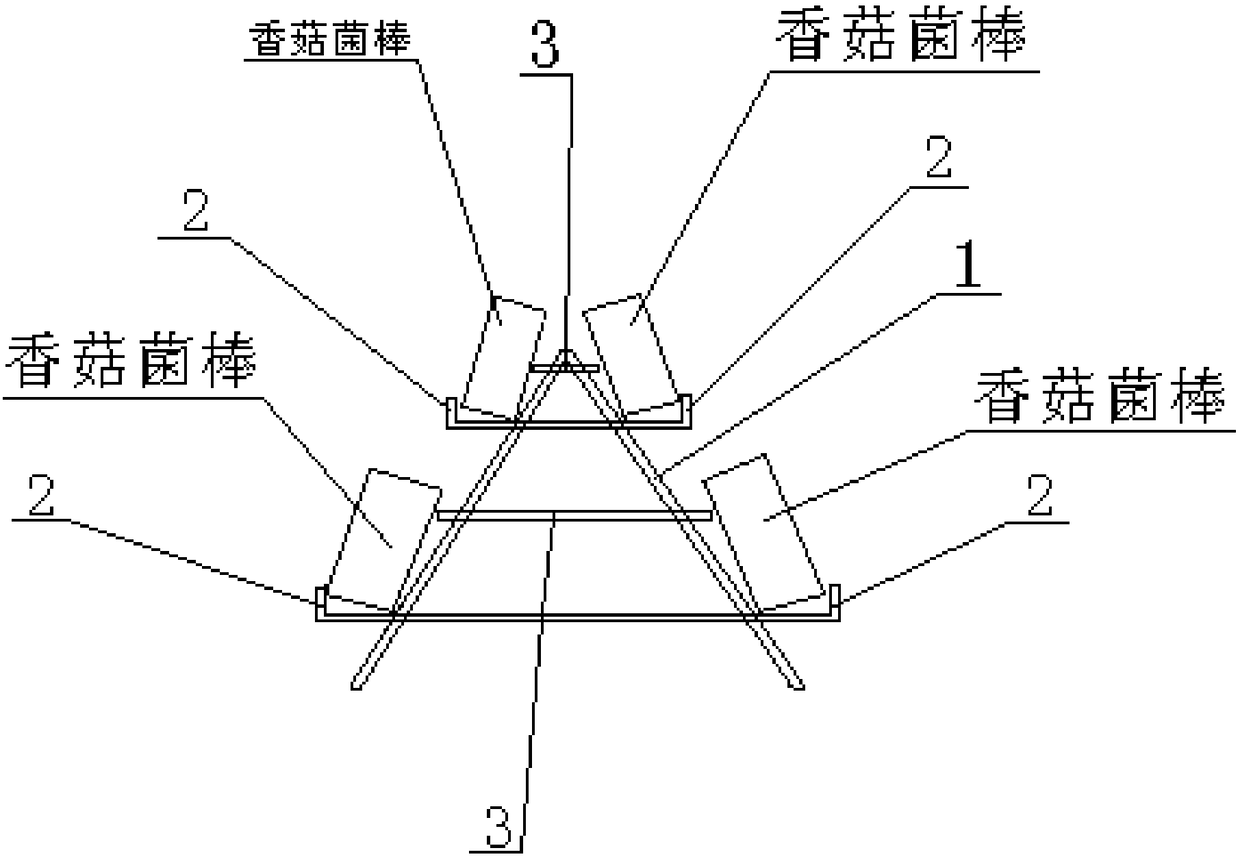 Method for manufacturing mushroom bacteria sticks from mango branches and leaves and performing stereo-cultivation of mushrooms under mango trees