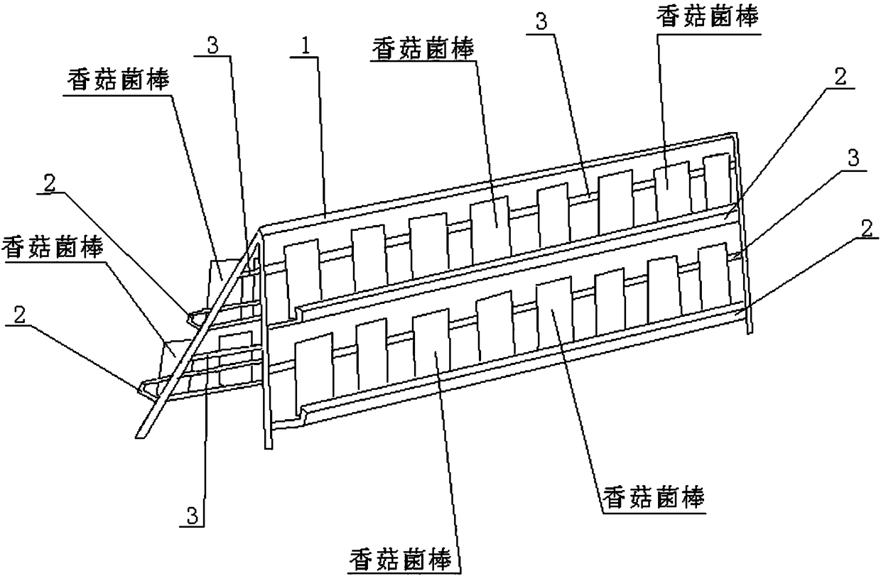 Method for manufacturing mushroom bacteria sticks from mango branches and leaves and performing stereo-cultivation of mushrooms under mango trees