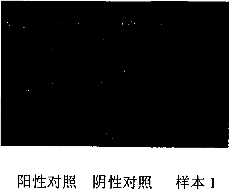 Method for detecting infectious pathogens and portable detector