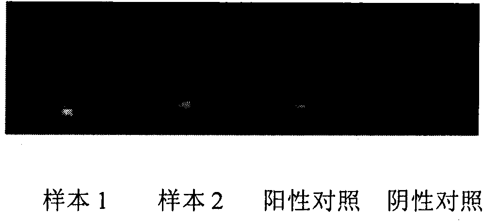 Method for detecting infectious pathogens and portable detector