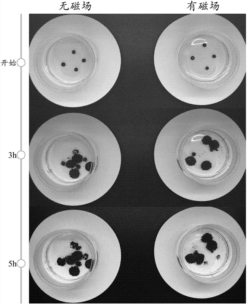 Method for regulating replacement reaction in solution by magnetic field