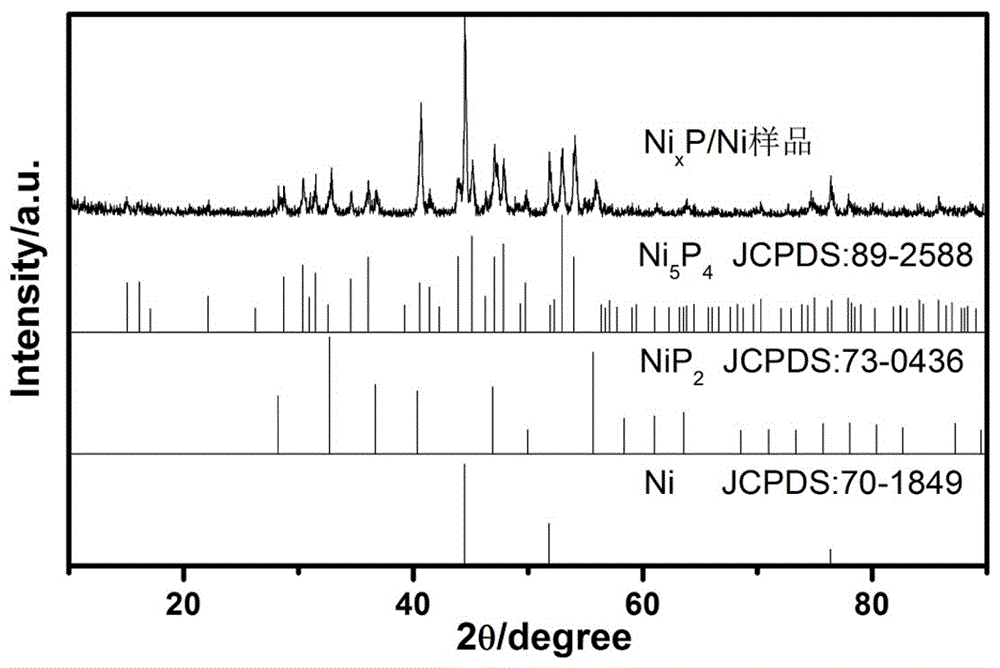 Flake NiXP/Ni negative electrode material for sodium-ion battery and preparation method of flake NiXP/Ni negative electrode material