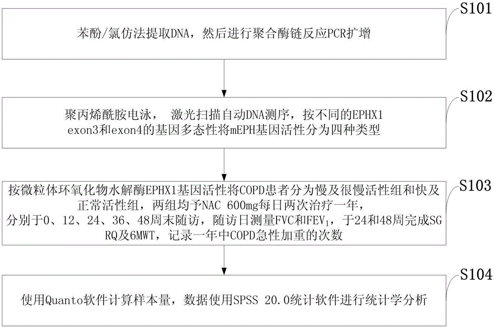 Test method of reaction of EPHX1 genotype based COPD to NAC