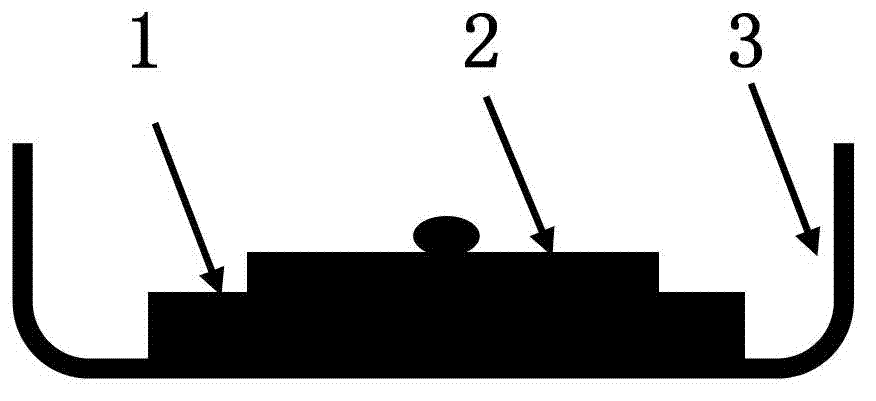 Flexible physiological dry electrode and preparation method thereof