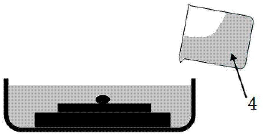 Flexible physiological dry electrode and preparation method thereof