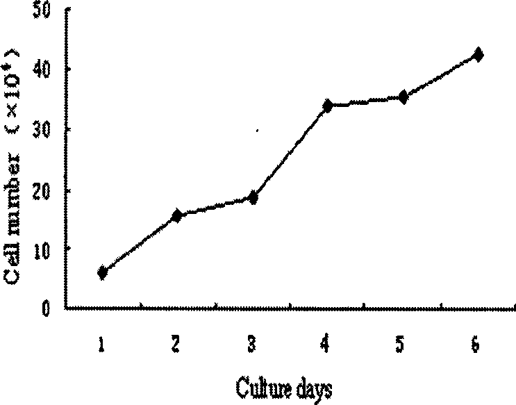 Liver bud stem cell, preparation method and application thereof