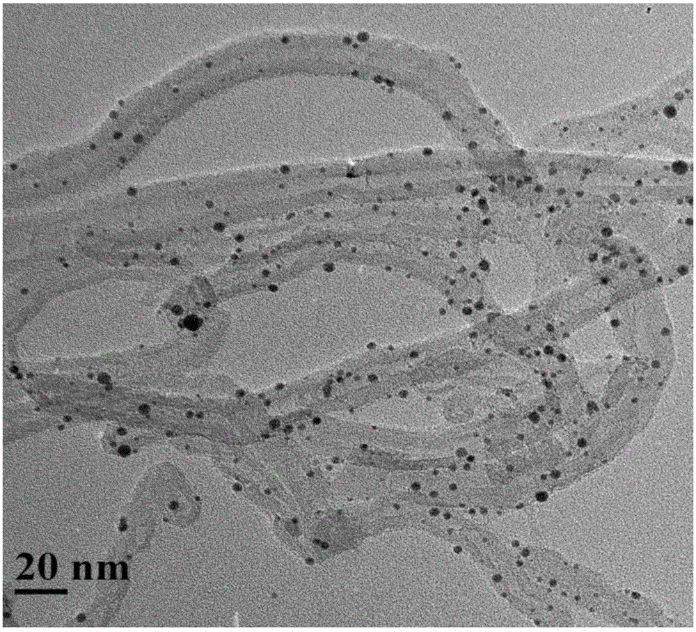 Photosensitive chitosan/precious metal nanoparticle/carbon material composite functional coating layer