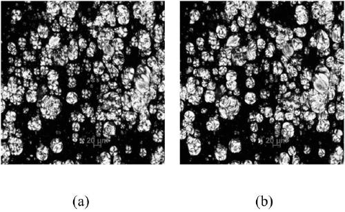 Temperature-sensitive color-developing liquid crystal microcapsule and preparation method thereof