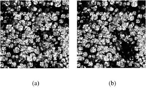 Temperature-sensitive color-developing liquid crystal microcapsule and preparation method thereof