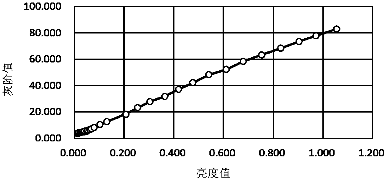 Light leakage brightness detection system and detection method thereof