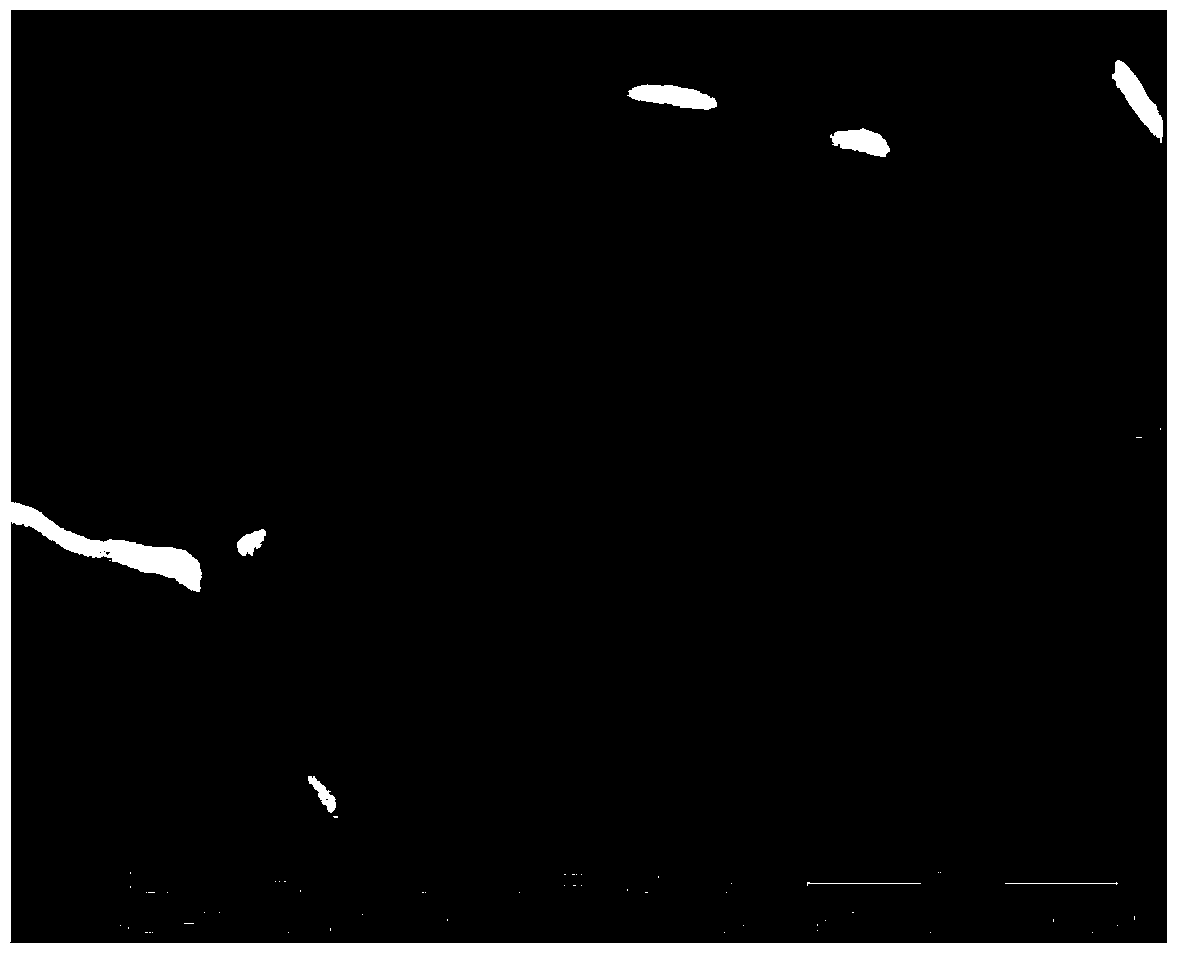 Temperature-stabilized pyrochlore complex-phase dielectric ceramics and preparation method thereof