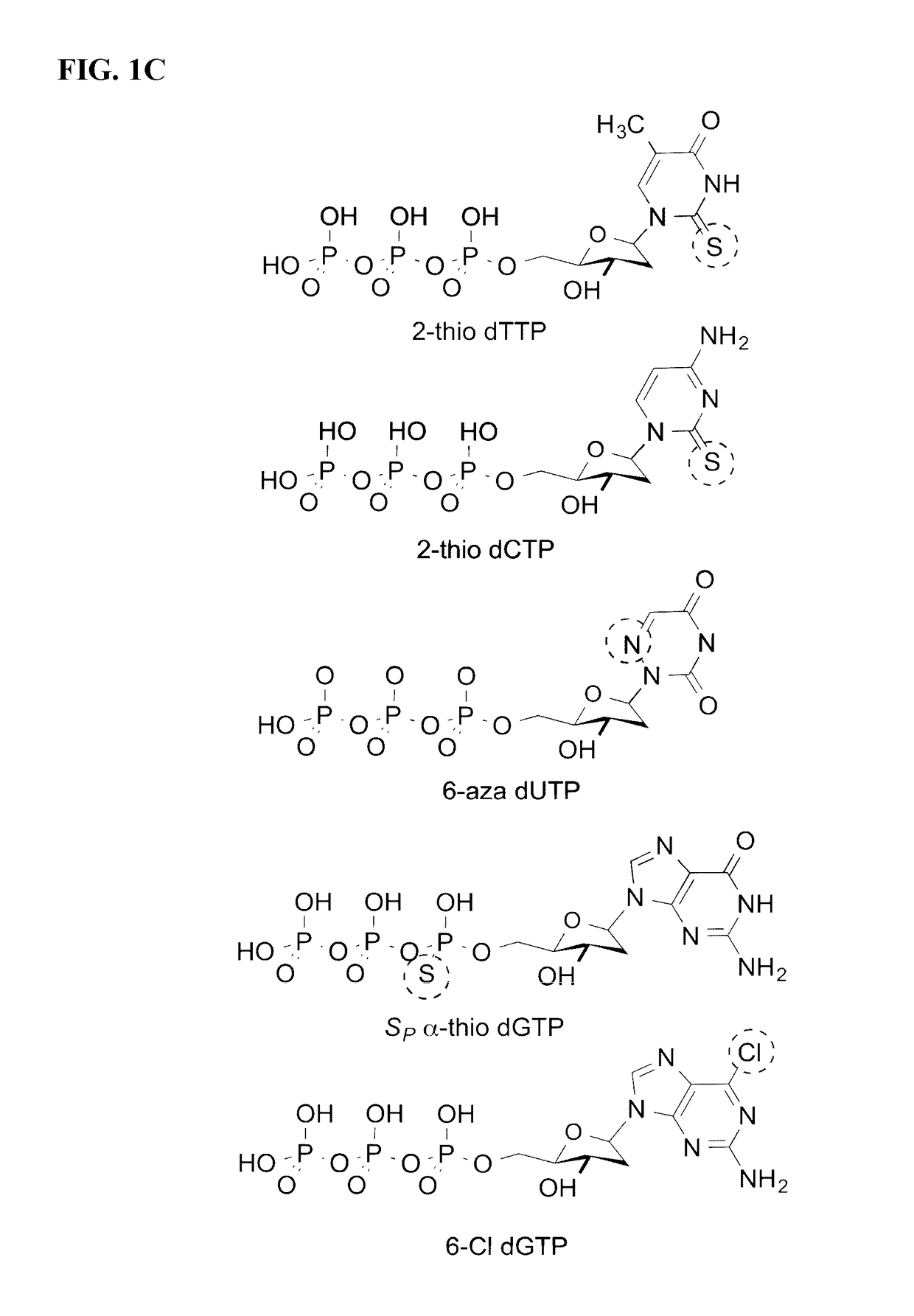 Detection of nucleic acid polymerase conformational changes using a nanotube