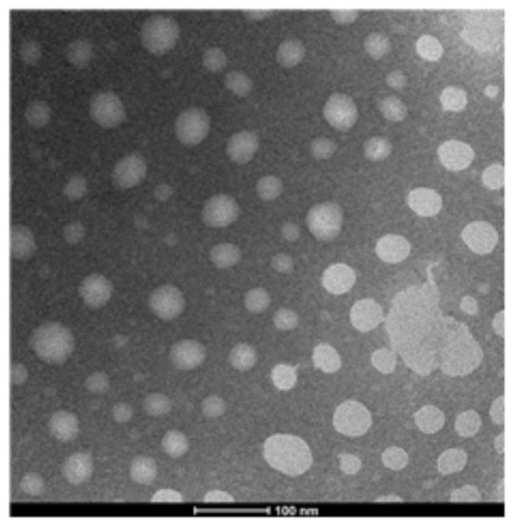 Block copolymer, organic nano-particles and preparation method and application of block copolymer and organic nano-particles