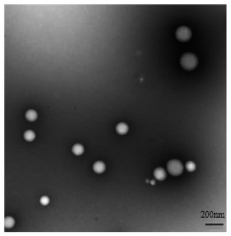 Block copolymer, organic nano-particles and preparation method and application of block copolymer and organic nano-particles