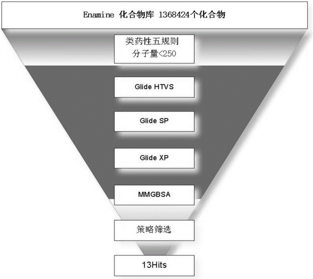 Compound for targeted ubiquitinated degradation of Smad3