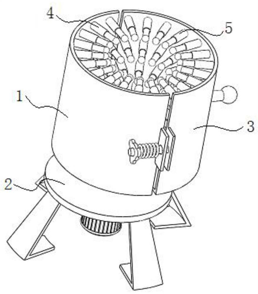 Automatic detection device for pine wood nematode DNA