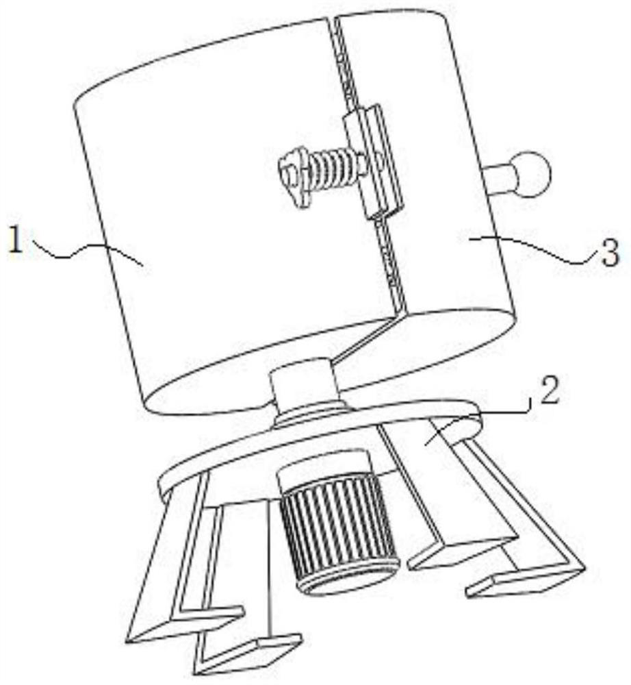 Automatic detection device for pine wood nematode DNA