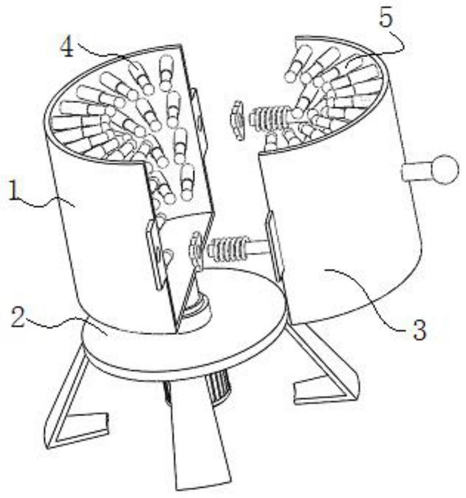 Automatic detection device for pine wood nematode DNA