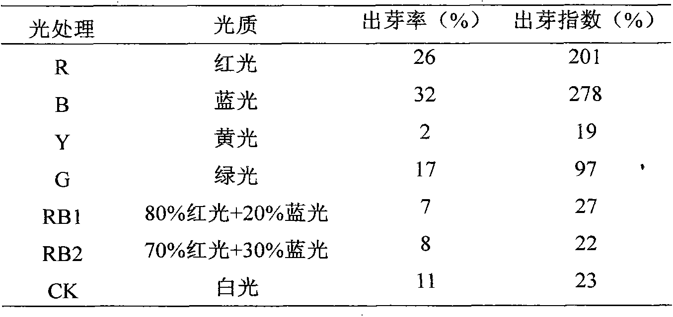 Culture method of ellcalyplus grandis Hill ex Maid tissue culture seedling