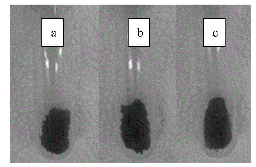 Compound antibacterial gel, preparation method thereof and applications thereof