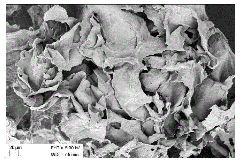 Compound antibacterial gel, preparation method thereof and applications thereof