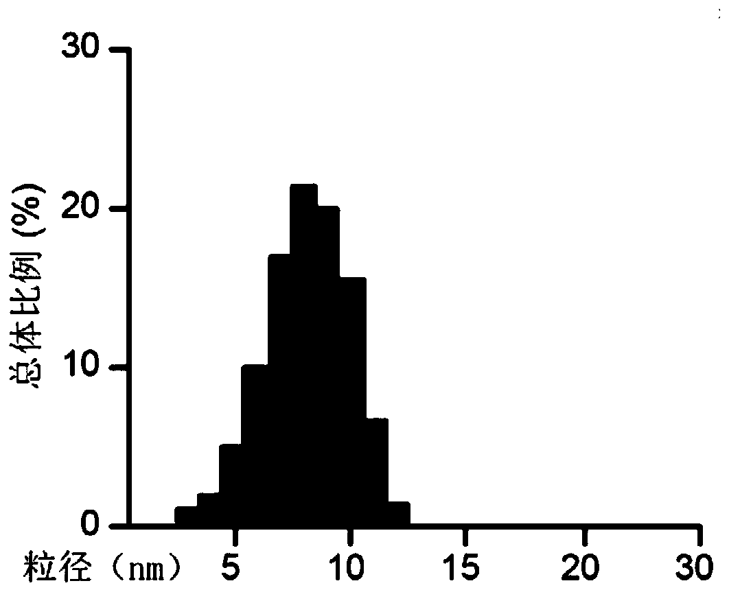 Superparamagnetic nano-iron modified exosome drug-loading nano-system, preparation method and blood glucose response method thereof