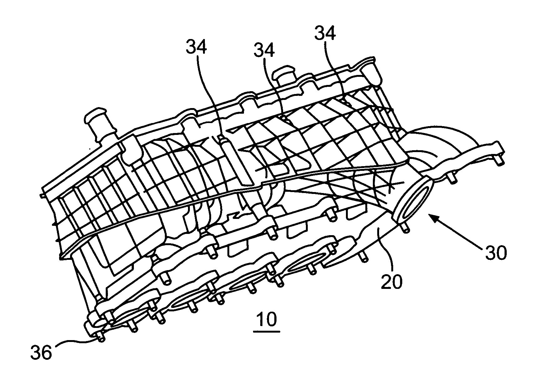 Intake Module for an Internal Combustion Engine