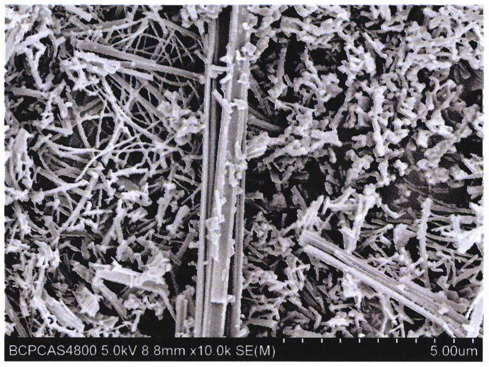 Preparation method of TiO2-TiNb2O7 composite negative electrode material for lithium ion battery