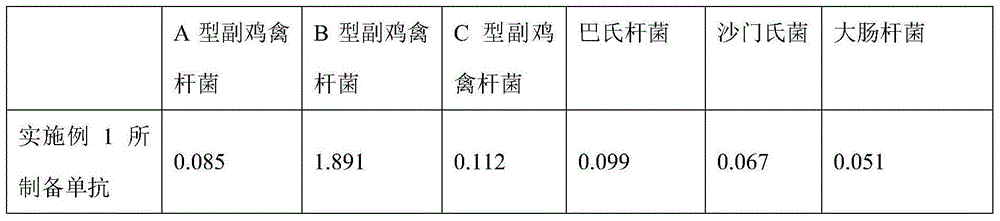 Preparation method of monoclonal antibodies for IC (infectious coryza) of chickens