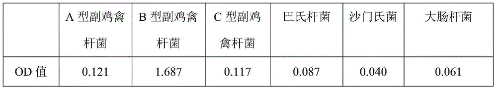 Preparation method of monoclonal antibodies for IC (infectious coryza) of chickens