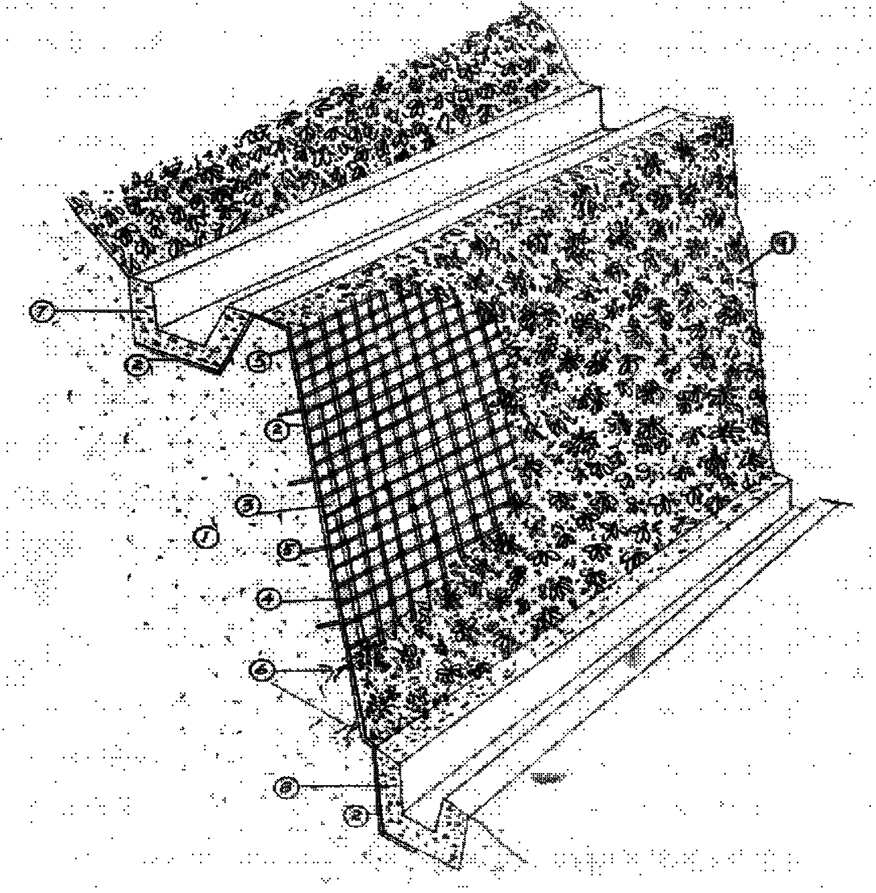 Earthiness side slope ecology protective structure