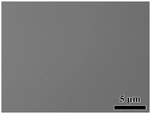 Preparation method of sodium tantalum oxide single-crystal film