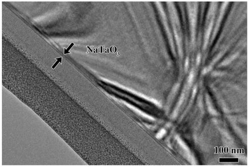 Preparation method of sodium tantalum oxide single-crystal film