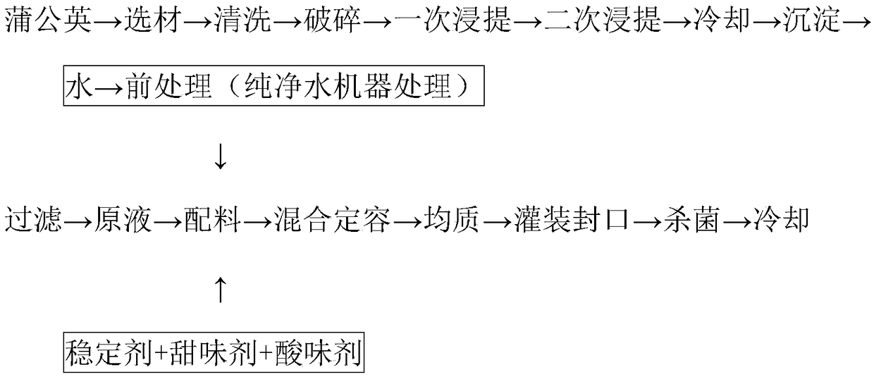 Dandelion beverage and preparation method thereof