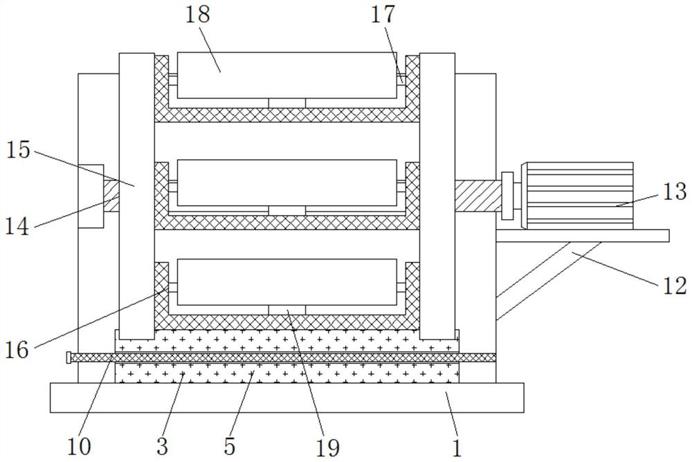 Fruit cleaning device for food and beverage processing