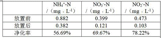 Bacteria immobilization particles for water purification and preparation method of bacteria immobilization particles