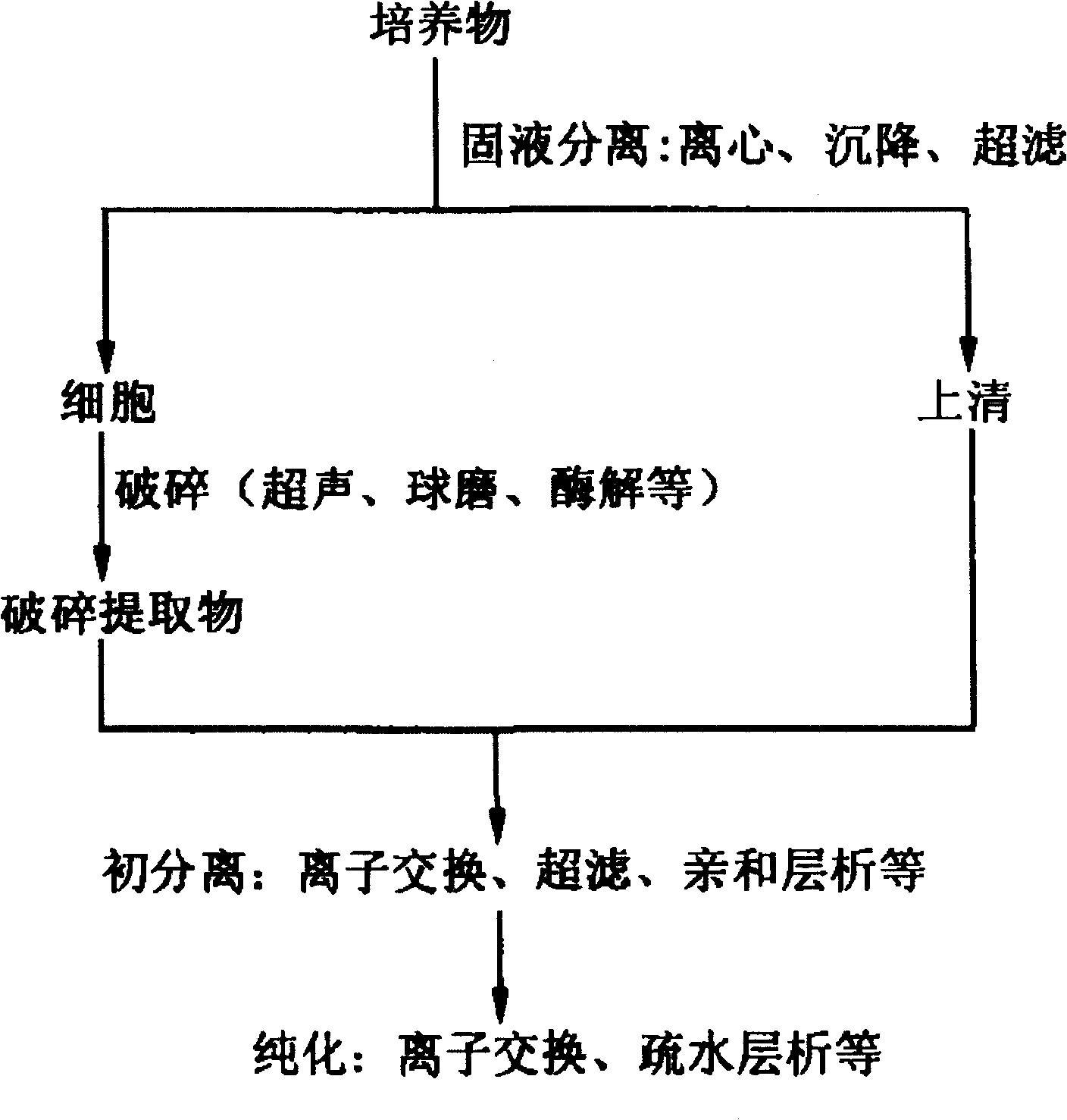 Method for purifying virus antigens