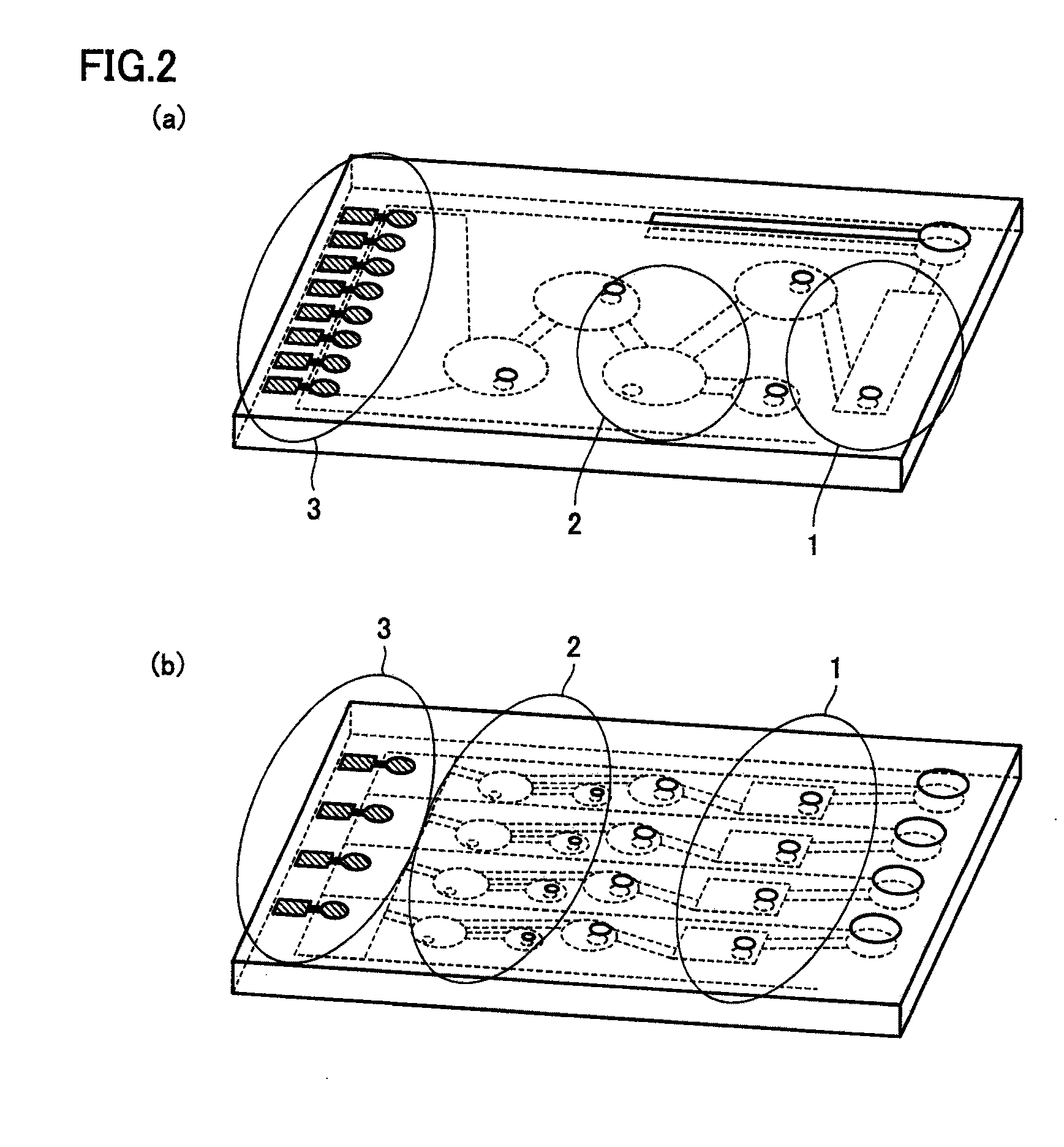 Separation purification method and microfluidic circuit