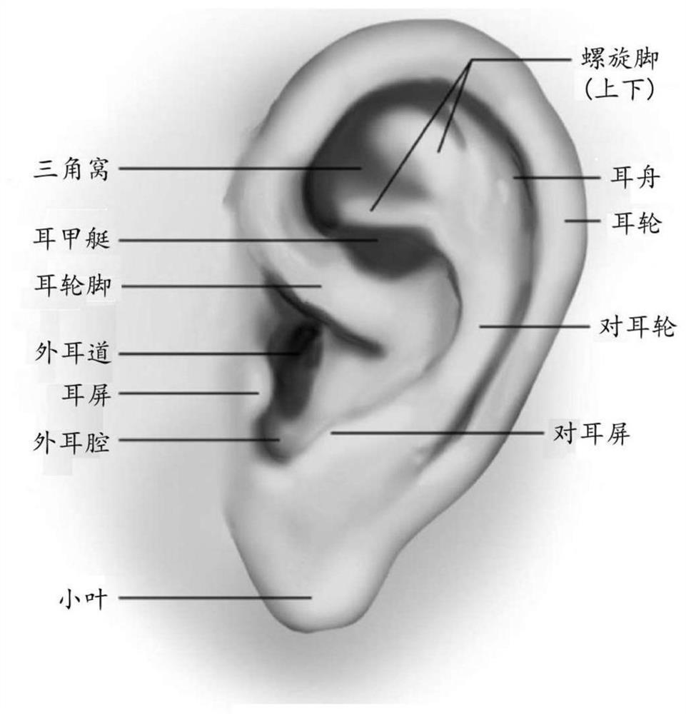 Systems and methods for delivery of therapy using ear stimulation device