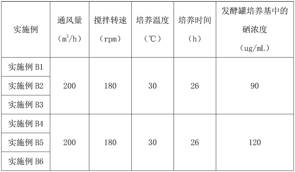 Selenium yeast for feed and preparation method thereof