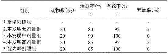 Traditional Chinese medicine composition for treating porcine encephalitis and preparation method of traditional Chinese medicine composition