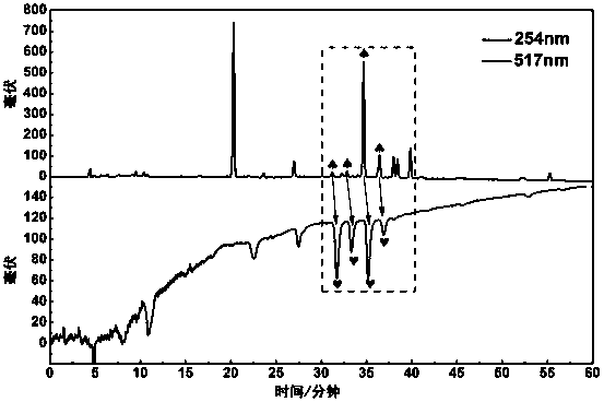 Separation preparation process and application of natural free radical scavenger in Saxifraga atrata Engl