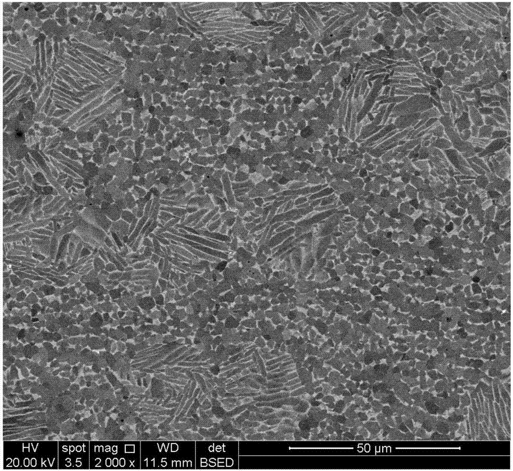 Preparation method of dual-scale titanium alloy material