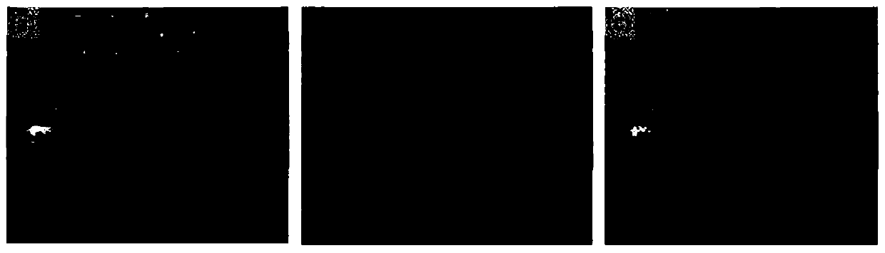 A depth map reconstruction method combining laser points and mean shift