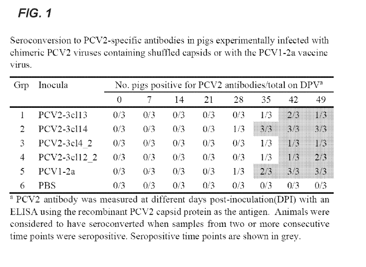 Chimeric porcine circovirus type 2 (PCV2) vaccines