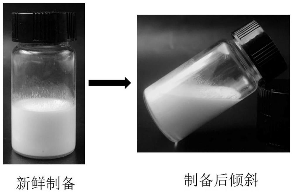 Water-in-oil type high-internal-phase emulsion carrying bitter substances and preparation method of water-in-oil type high-internal-phase emulsion