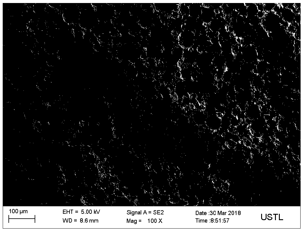 Method for preparing magnesia-based lightweight aggregates by foaming method