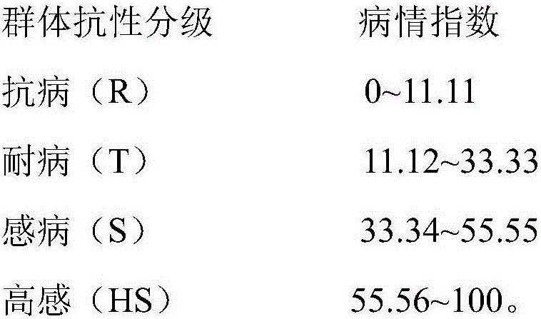 Identification method for clubroot resistance of alpine radish at seedling stage