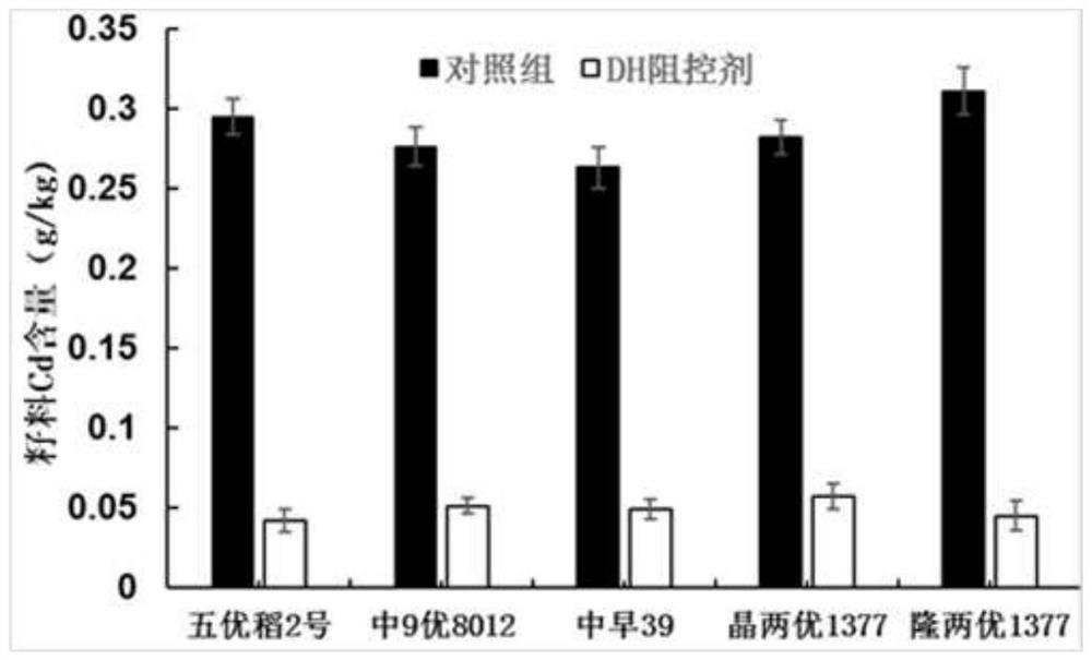 Heavy metal cadmium composite foliar resistance and control agent and preparation method thereof