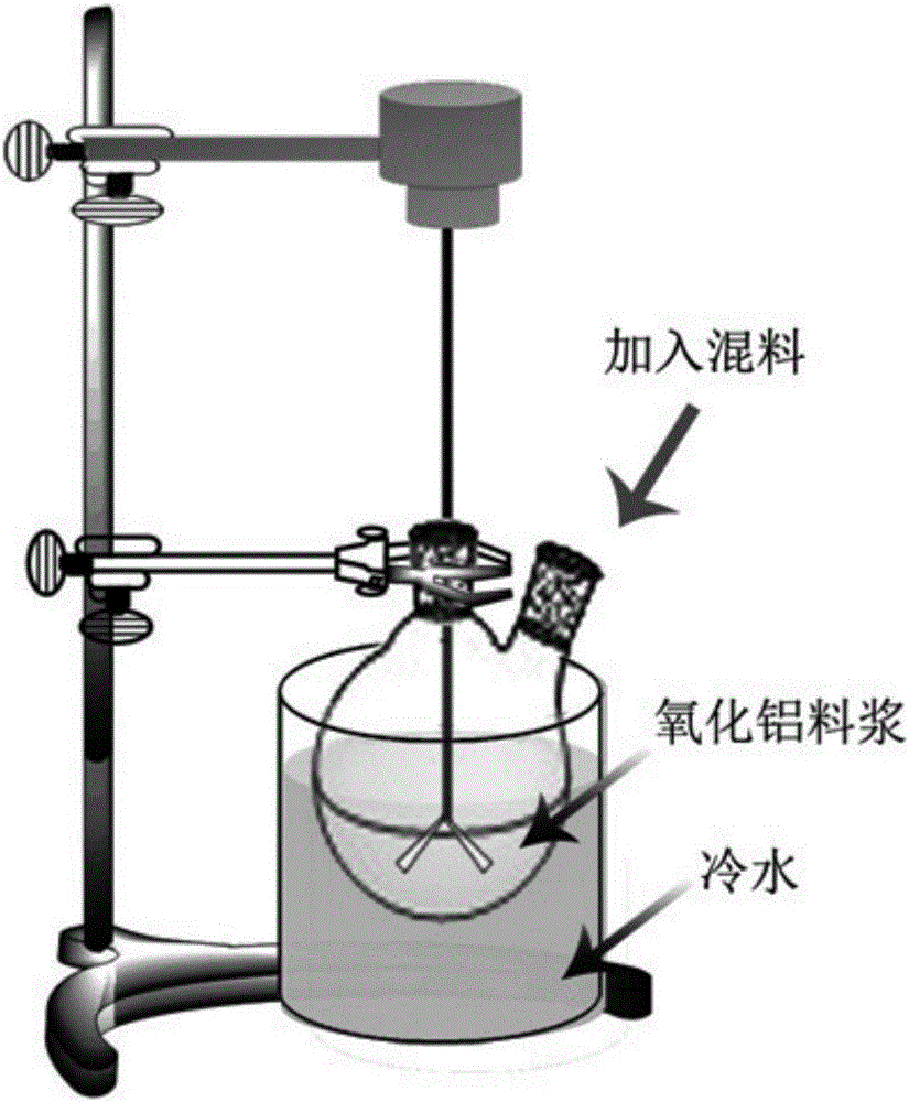 High-purity nano aluminium oxide biological ceramic formed through starch curing and preparation method and application thereof